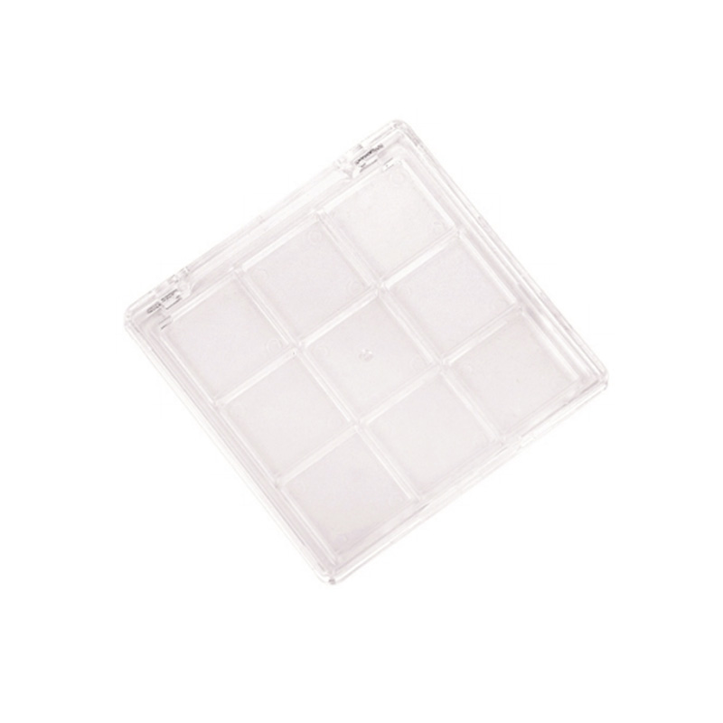 2025-10 Coral Square 10 Grids Eyeshadow Case